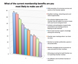 The St Austell Bay Chamber Survey - June 2015