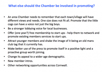 The St Austell Bay Chamber Survey - June 2015